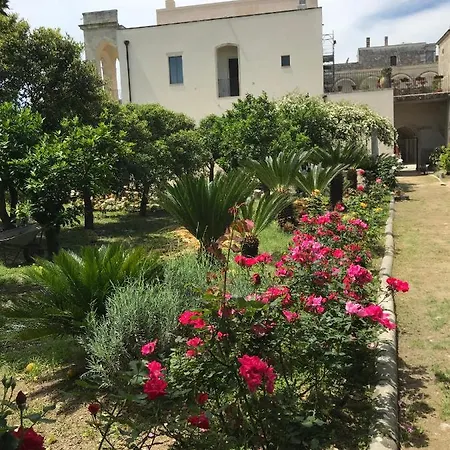 Antico Aranceto 3* Bagnolo del Salento