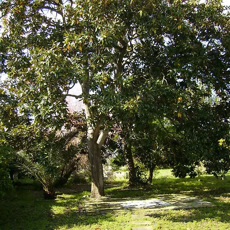 Antico Aranceto לינה וארוחת בוקר 3*