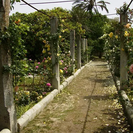 Antico Aranceto לינה וארוחת בוקר 3*