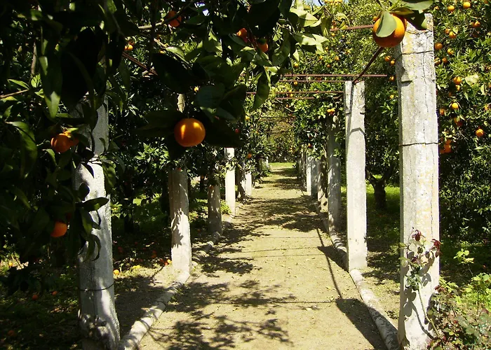 Antico Aranceto 3*