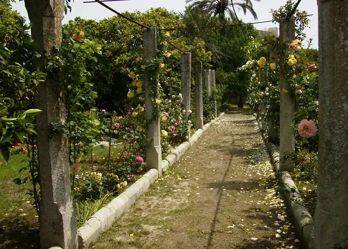 Antico Aranceto Bed & Breakfast 3*